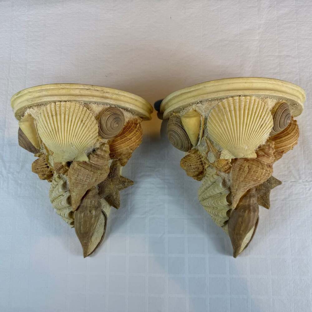Coastal Seashell resin Wall Mounted shelves Set of 2 Beige/Brown *